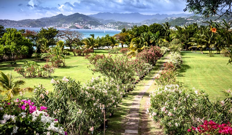 Mount Cinnamon-Villa View_2089